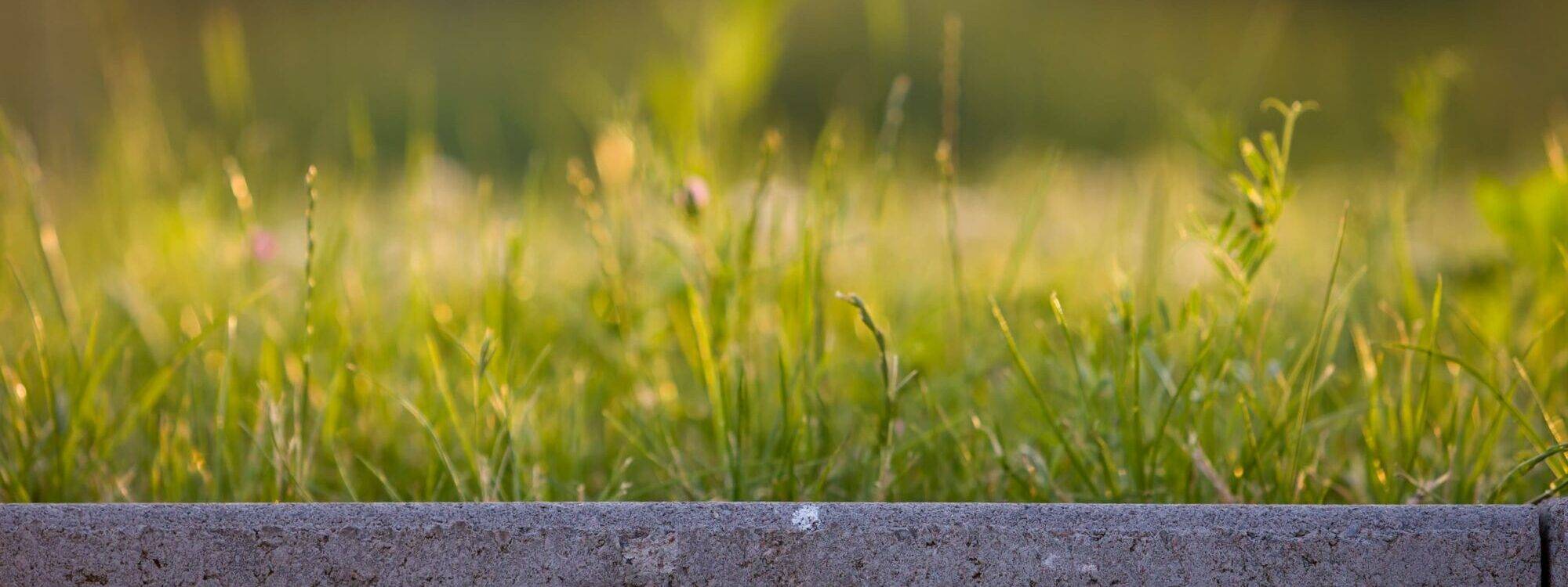 Comment déterminer la hauteur idéale pour ses bordures ? Wittenheim